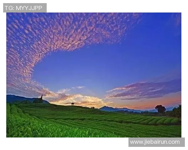 秀山丽水借助体育发展新机遇探索可持续发展新路径